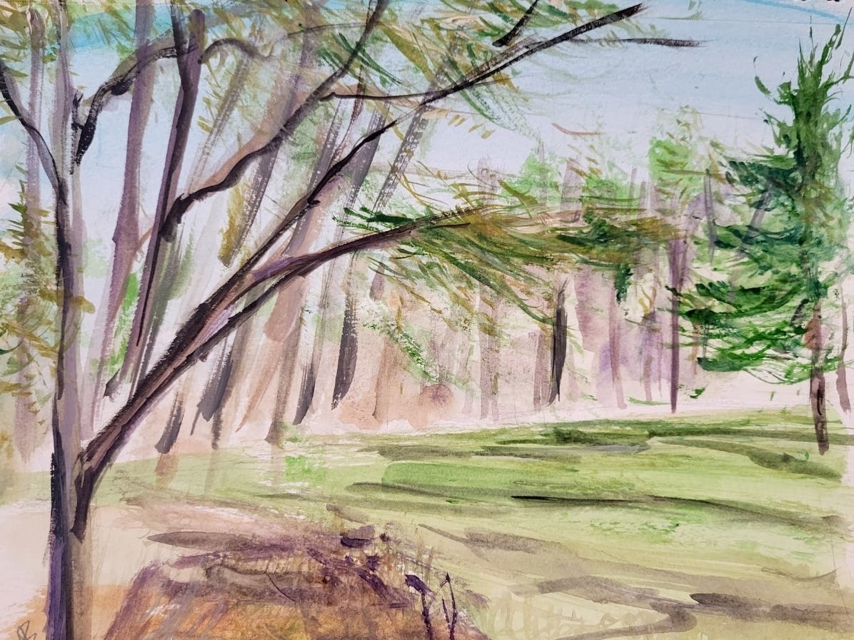 https://patch.com/img/cdn20/users/2685171/20260824/014236/styles/patch_image/public/vianborchert-landscape___24130935868.jpg
