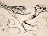 "Bird" by Vian Borchert
