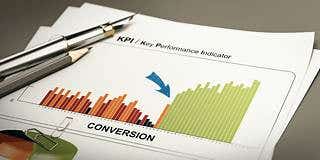CRO Consultant