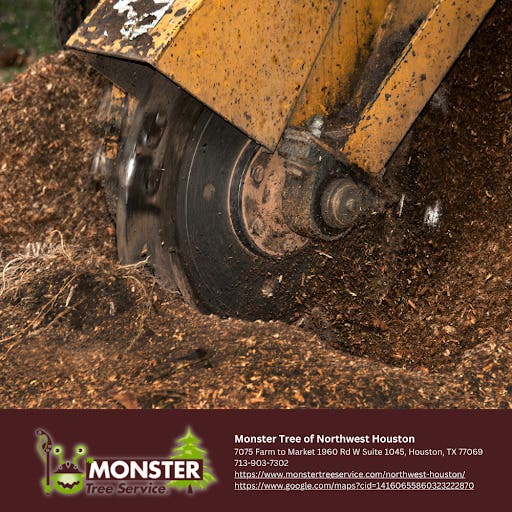 Stump Grinding in Northwest Houston: The Last Thing Standing Between You and a Finished Yard
