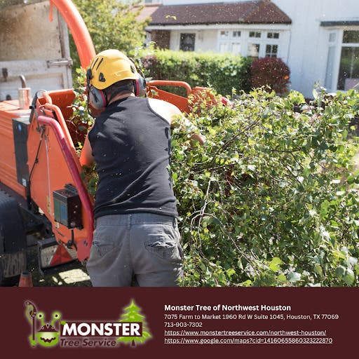 Land Clearing in Magnolia, TX and Northwest Houston: Turning Raw Acreage Into the Next Chapter