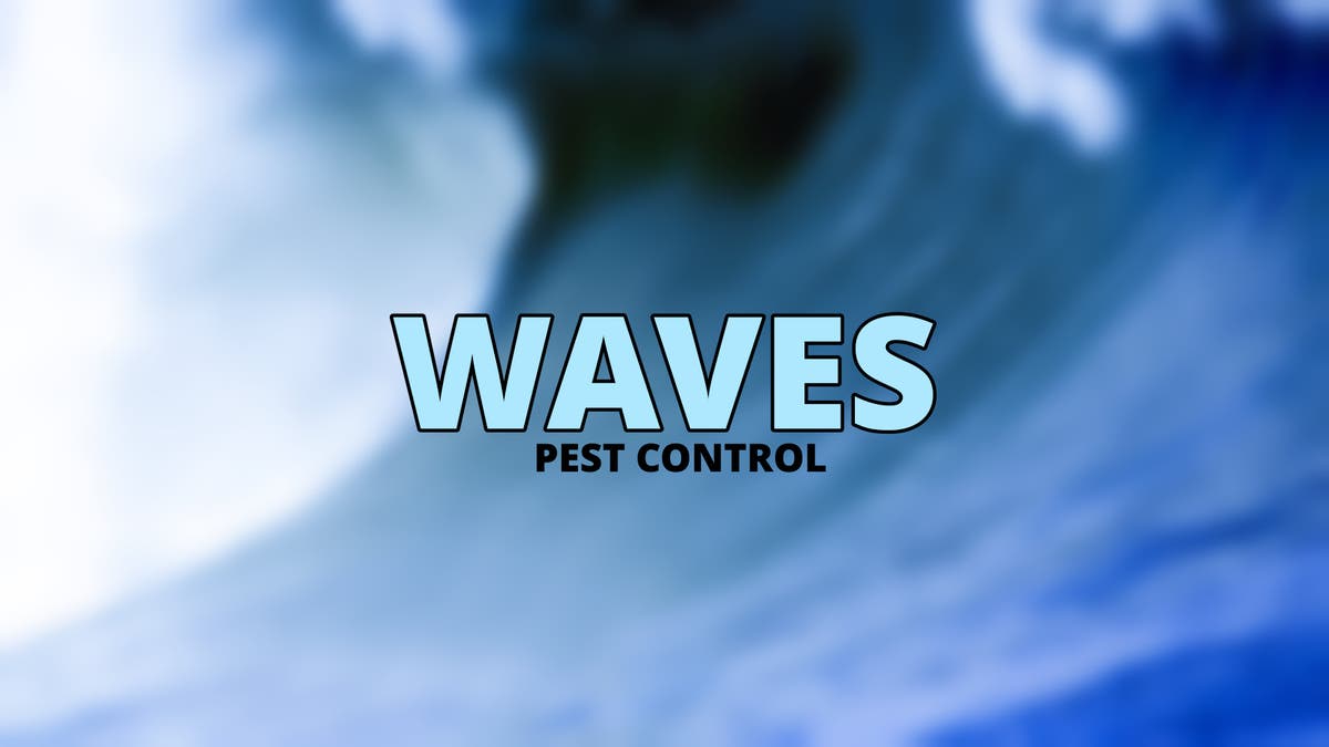 Waves Pest Control