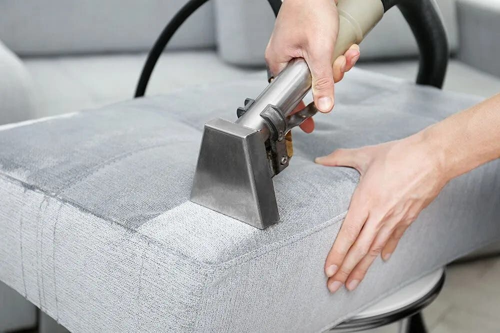 Divine Clean Carpet Cleaning
