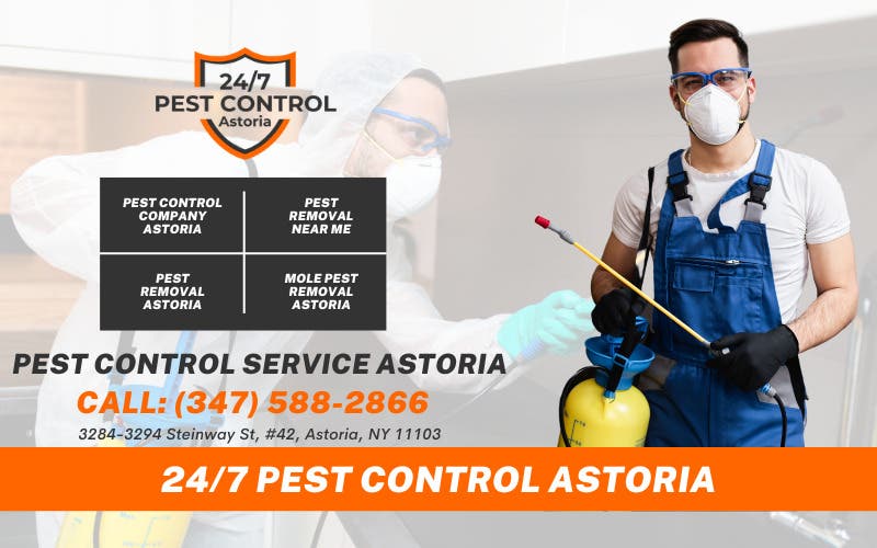 Queens Exterminator 24/7 Pest Control