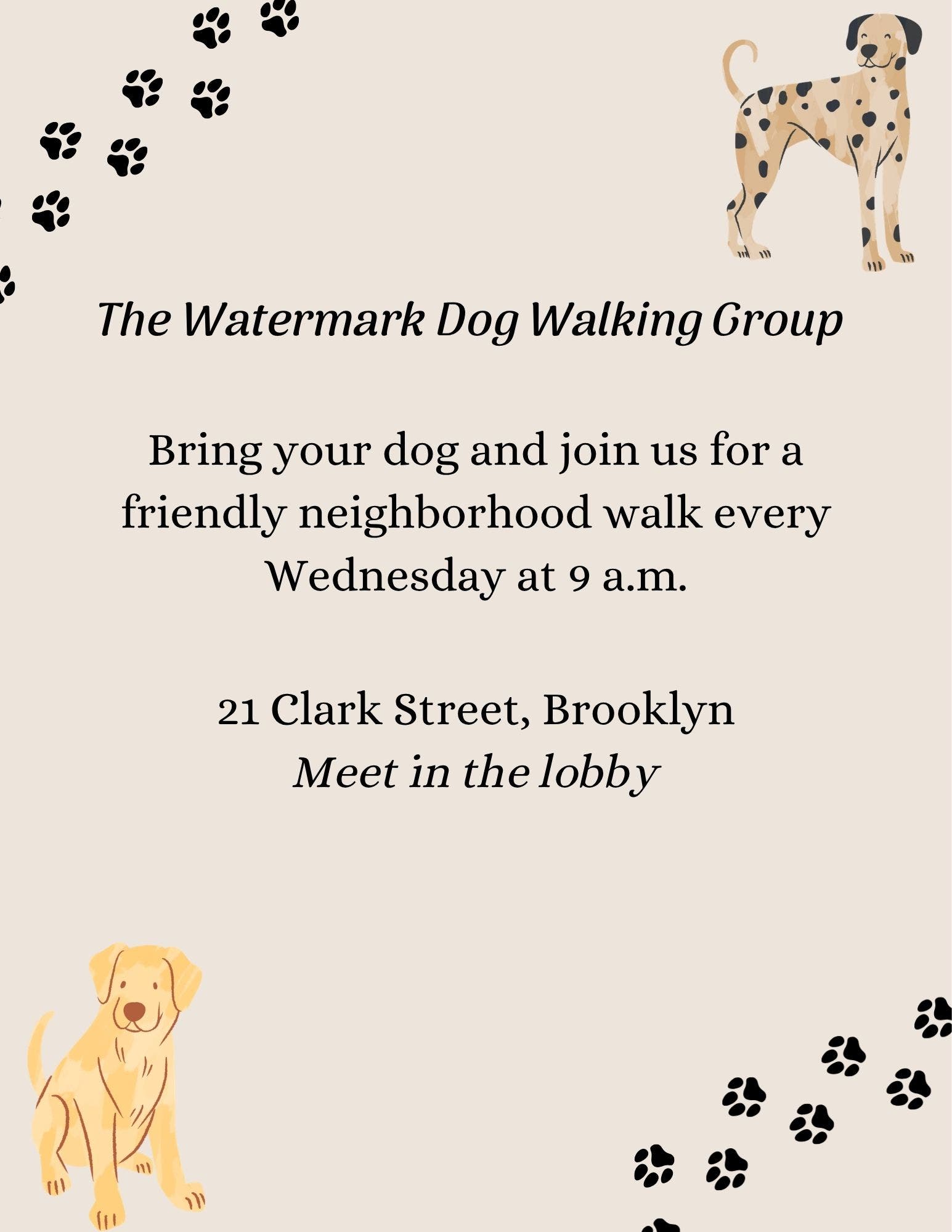 Multigenerational Dog Walking Club