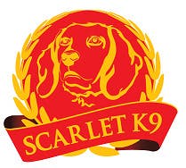 Scarlet K9 Dog Training