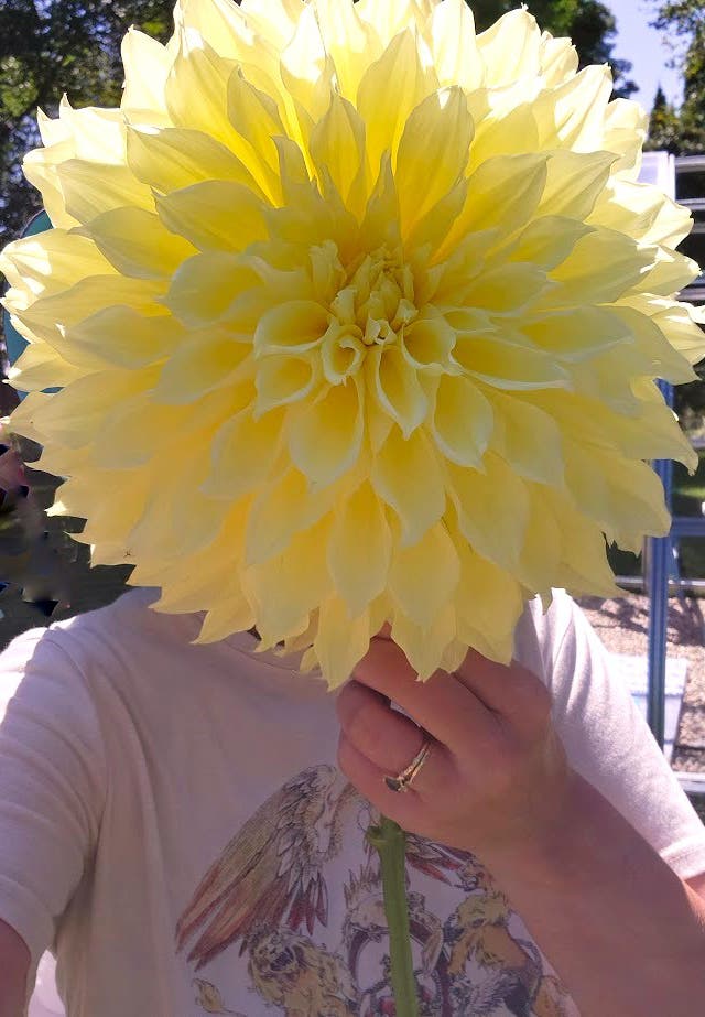 NEW! Summer Solstice Sale: Rare and Unusual Plants!