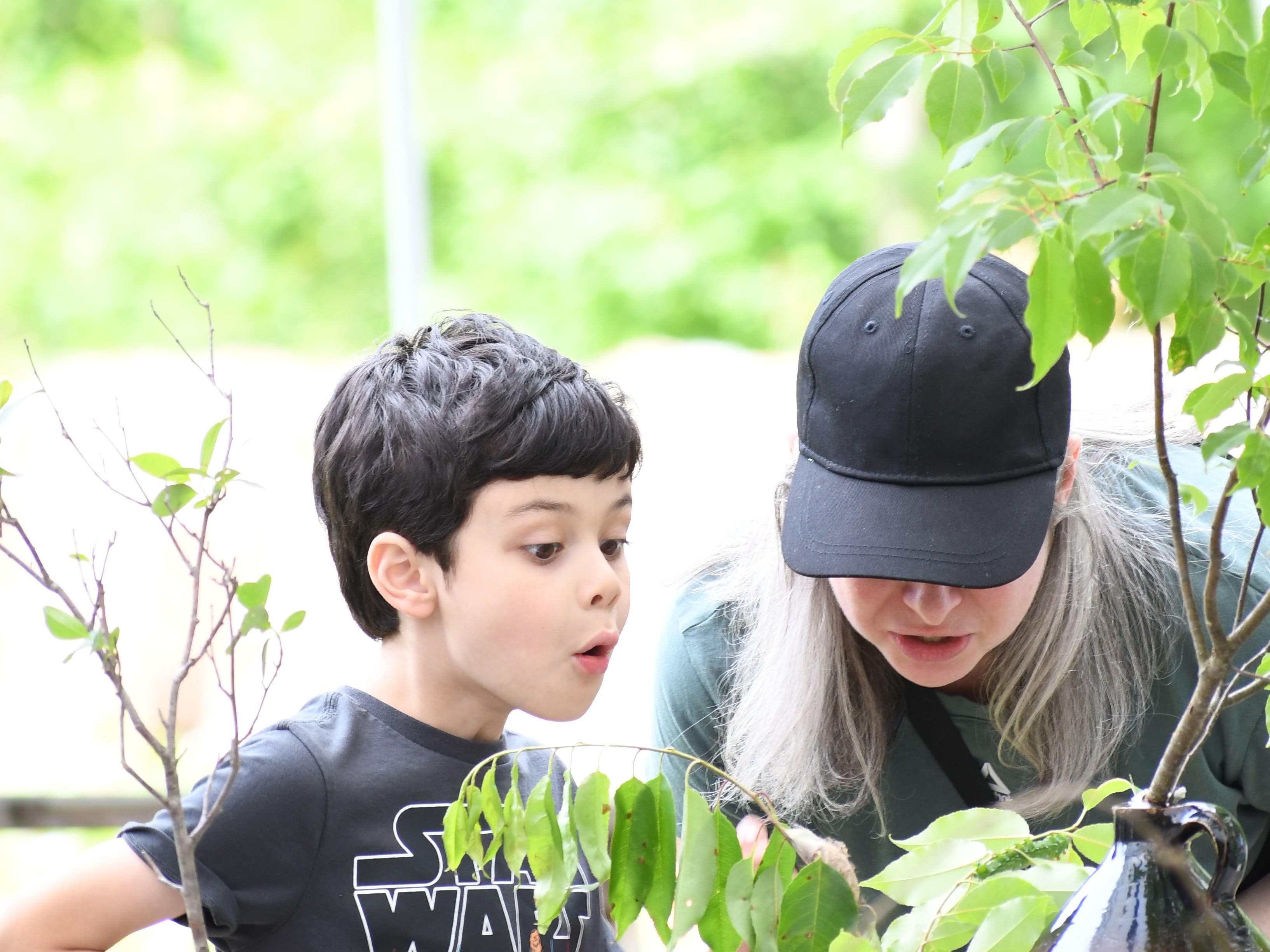 The Caterpillar Lab!