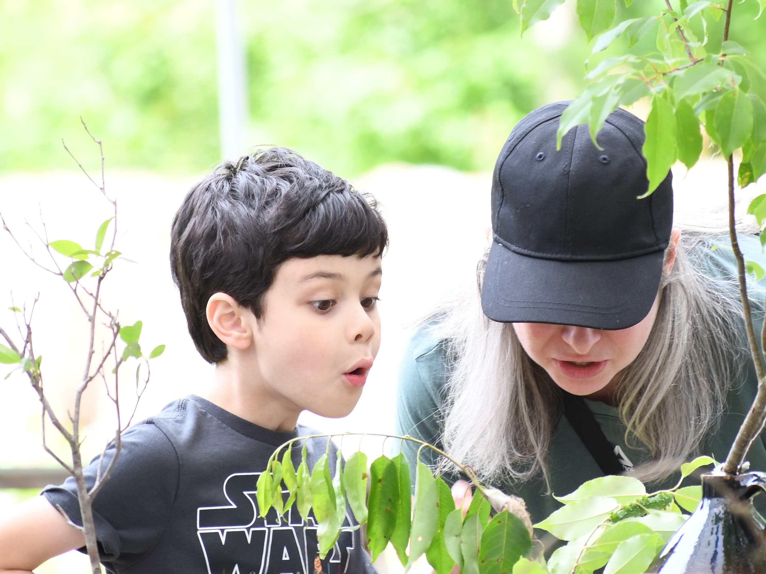 The Caterpillar Lab!