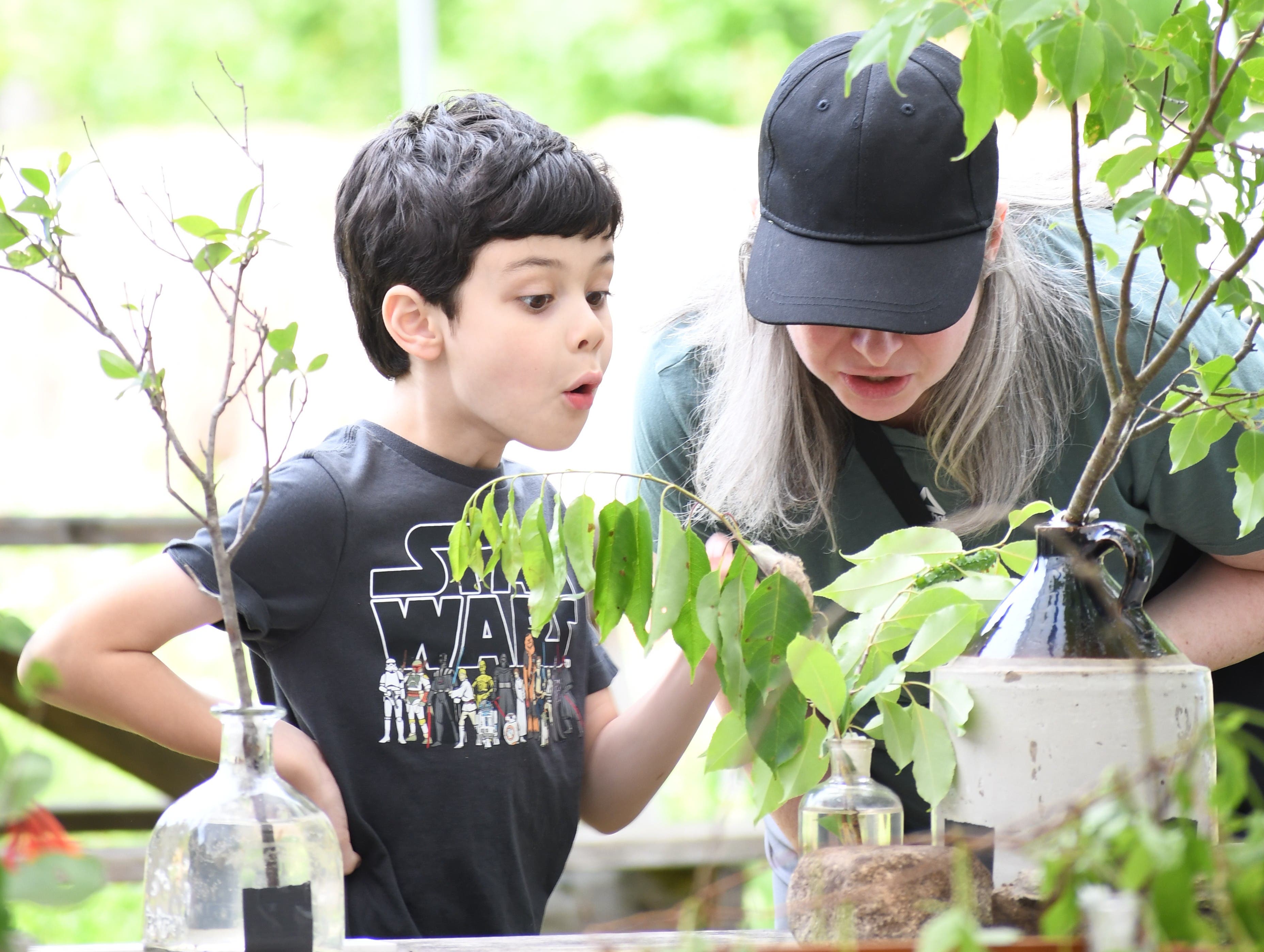 The Caterpillar Lab at Bedrock Gardens