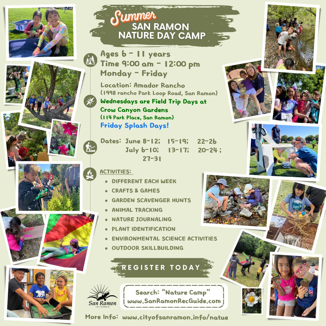 Nature Summer Camp