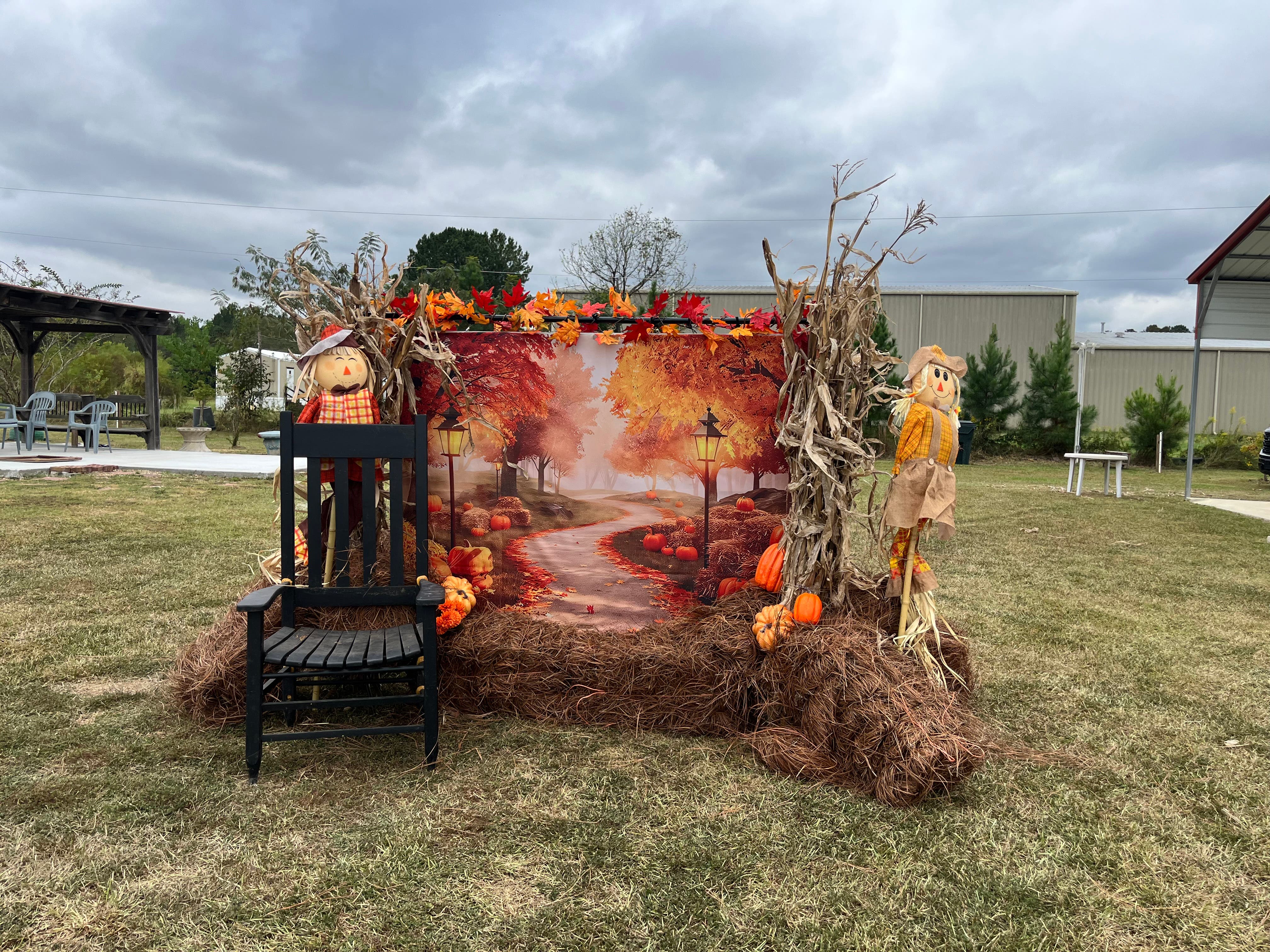 Circle Z Farms Pumpkin Patch 