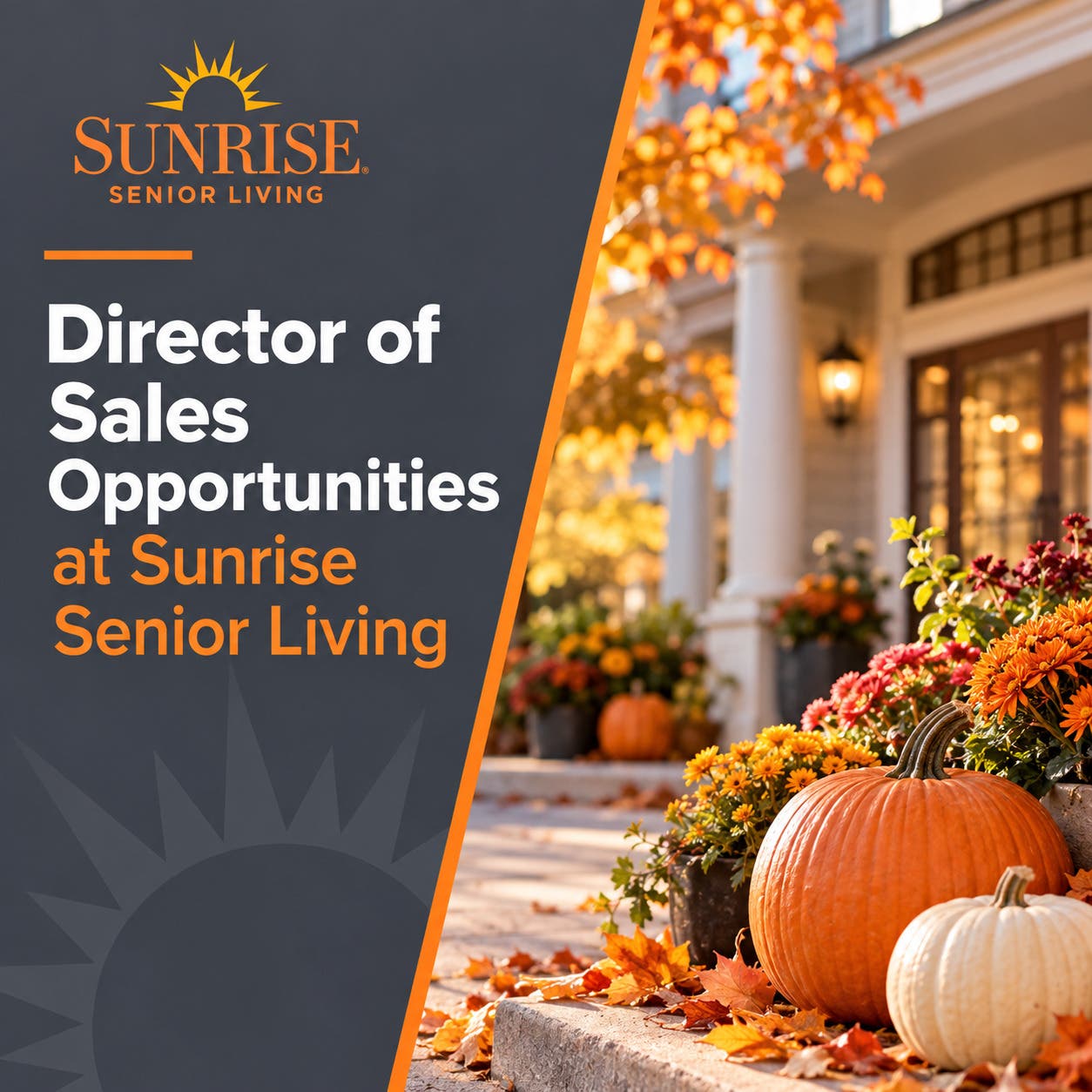 Director of Sales Career Meet & Greet at Sunrise Senior Living