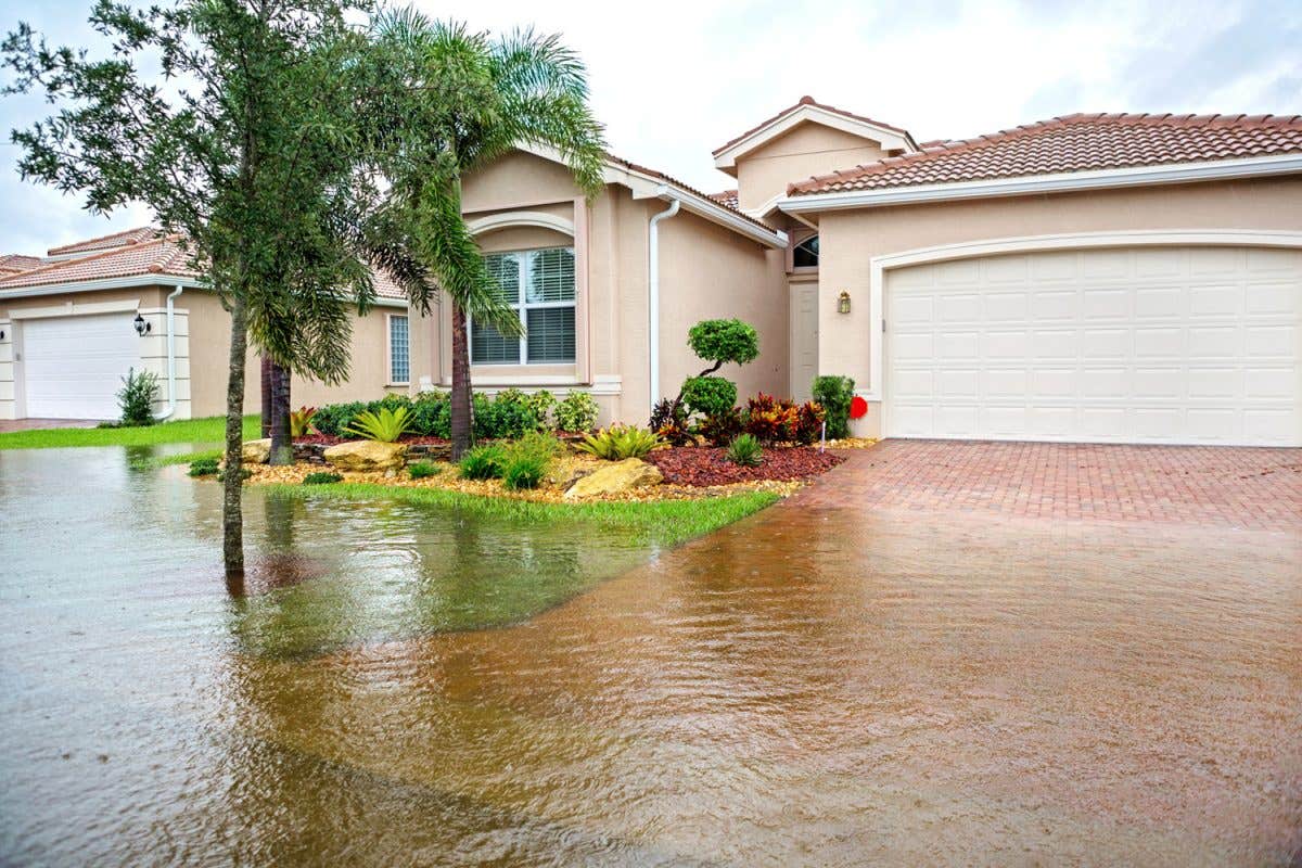 Restoration Doctor of Miami