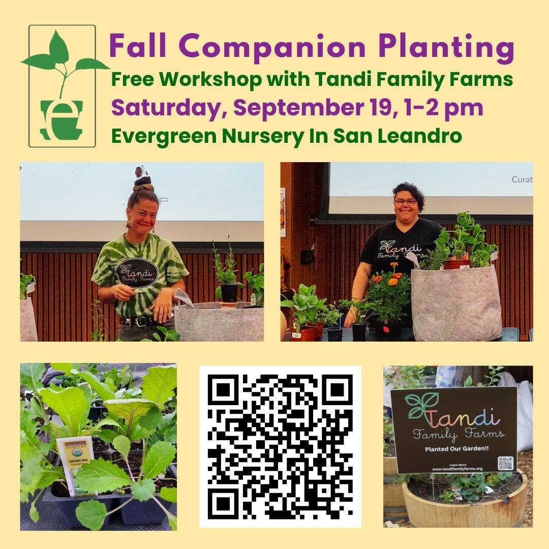 Fall Companion Planting Workshop