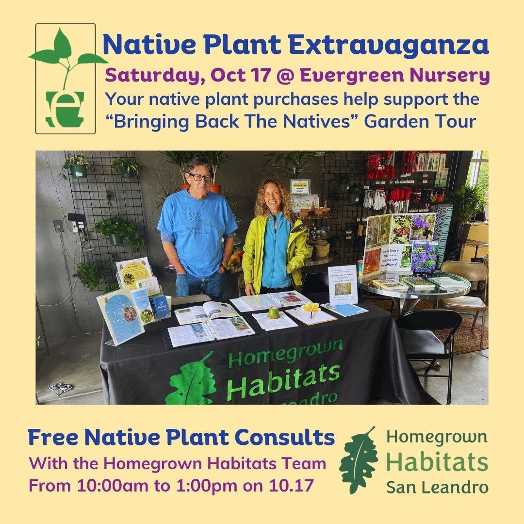 Native Plant Extravaganza at Evergreen Nursery