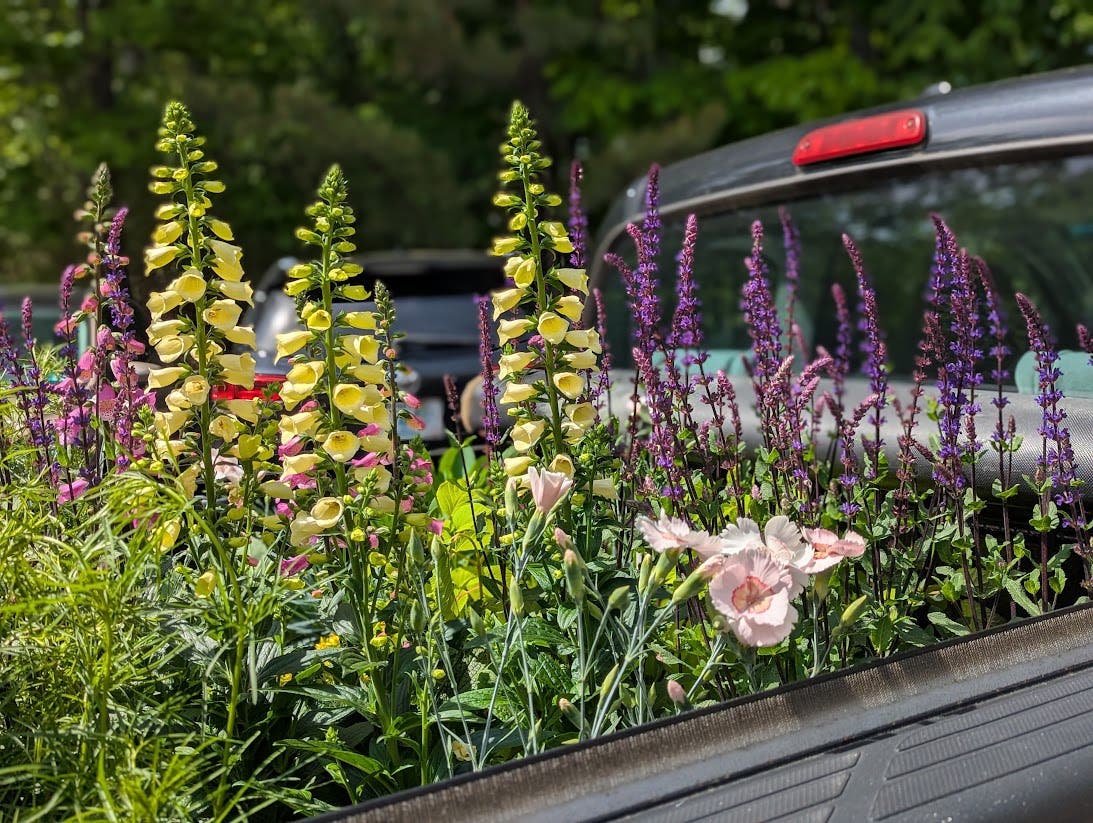 Plant Sale to Benefit Community Hospice House
