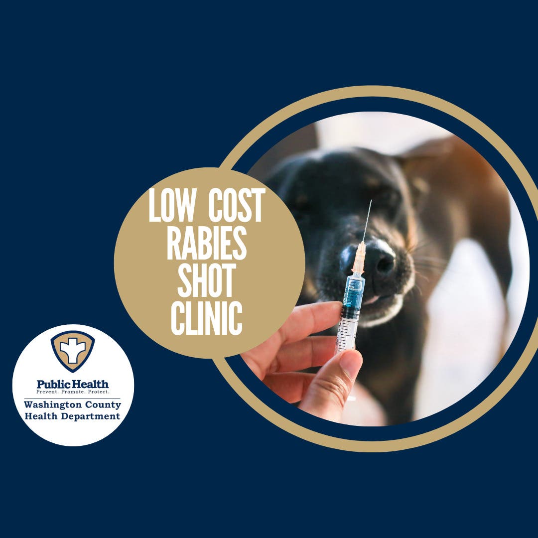 Low-cost Rabies Shot Clinic