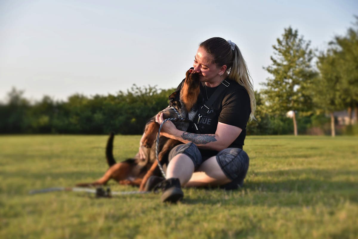 K9 Guide Dog Training