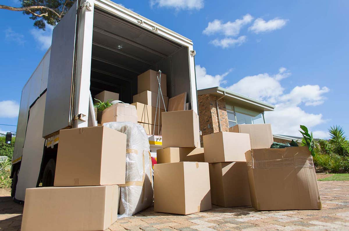 Transportion Move Cheetah Moving Transportation & Services LLC - Nyack, NY Patch