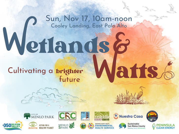 Nov 17 Wetlands & Watts East Palo Alto, CA Patch