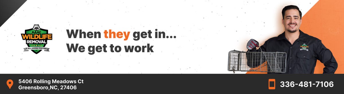 AAAC Wildlife Removal of Greensboro