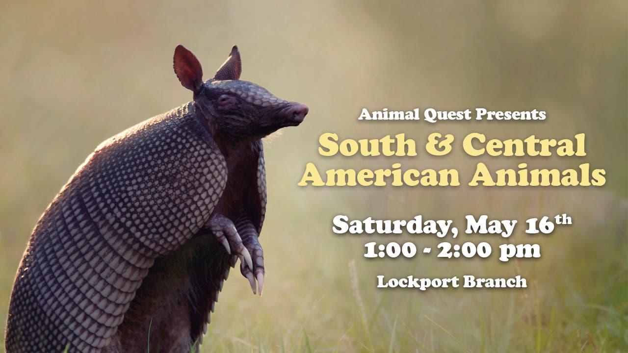 South & Central American Animal Quest!