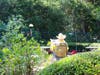 Photo of the bird sanctuary.