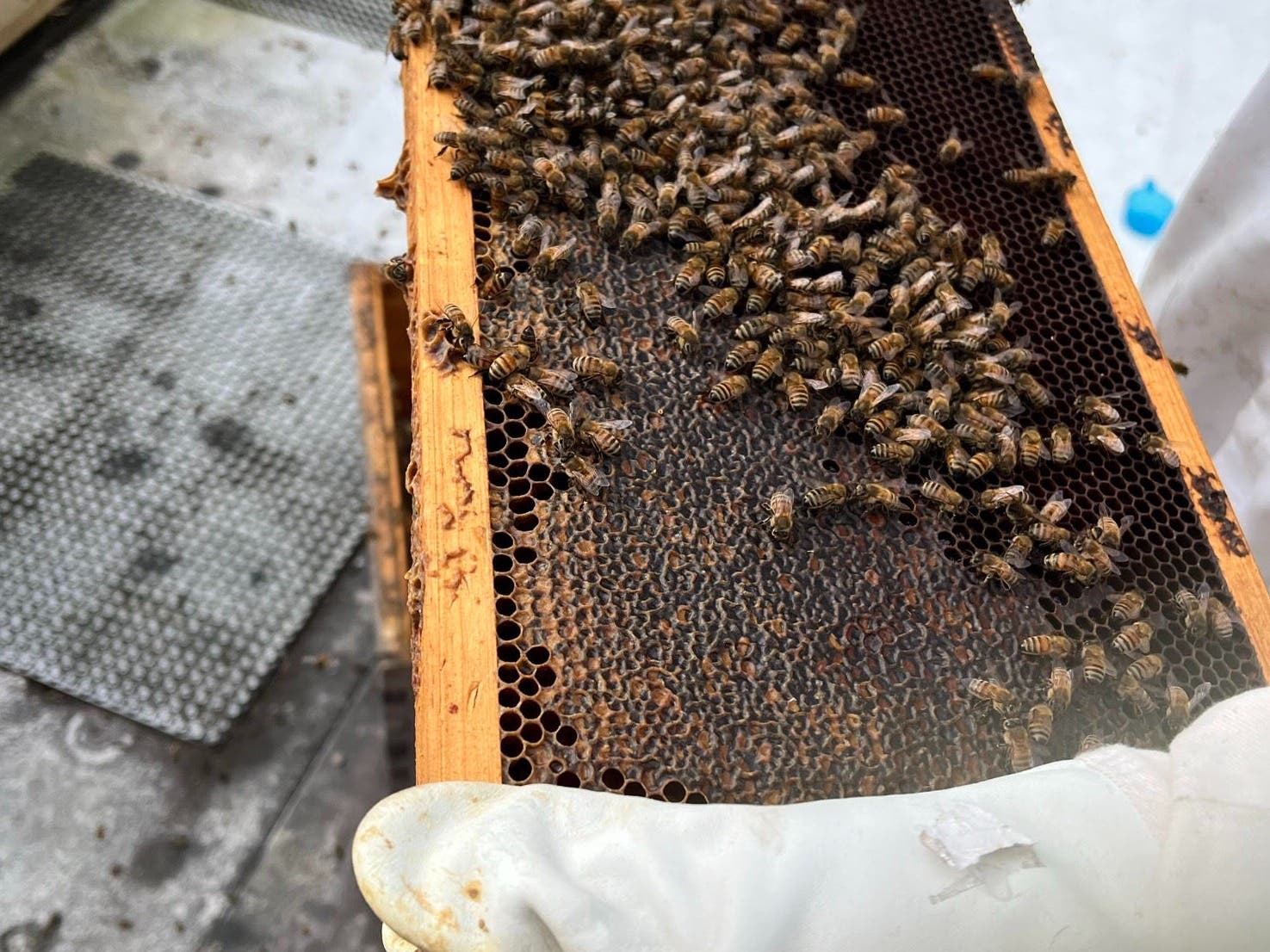 Hackensack Meridian Health Builds Healthier Communities through Sustainability Efforts