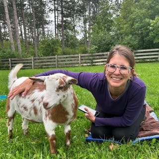 Goat Yoga 