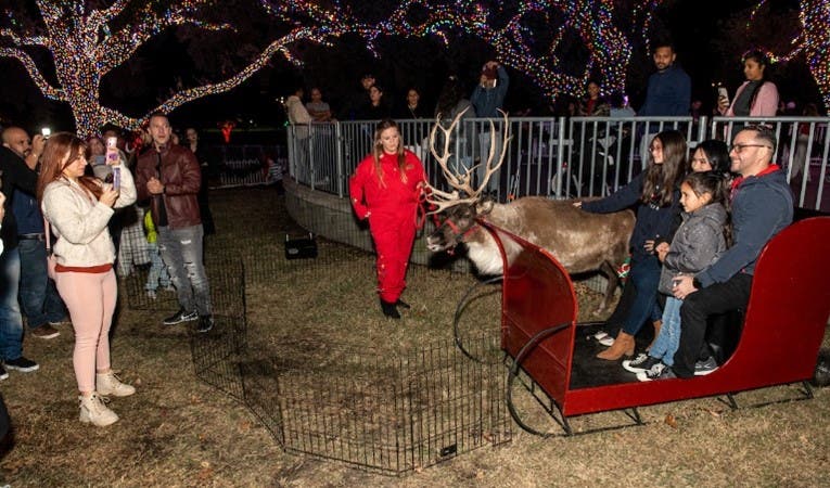 Vitruvian Park Lighting Ceremony 