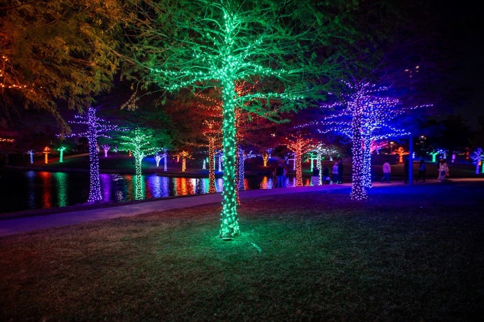 Bite Nights at Vitruvian Lights 