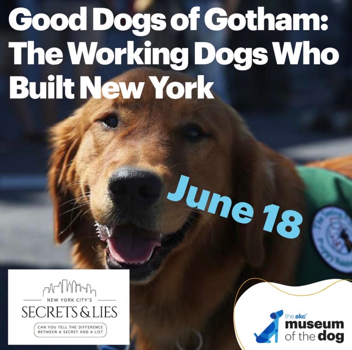Good Dogs of Gotham: The Working Dogs Who Built New York