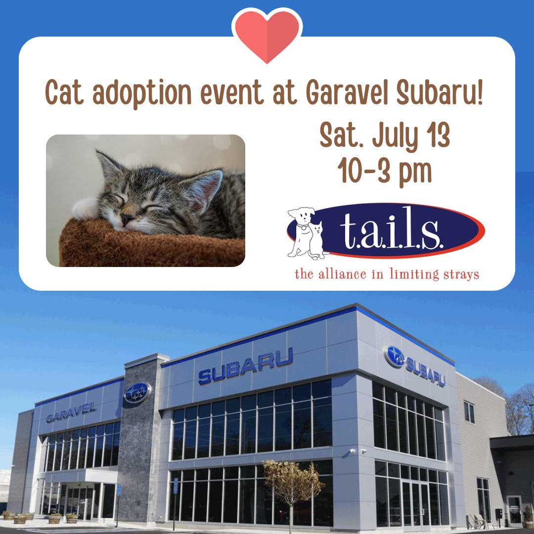 Jul 13 garavel subaru and tails partner for cat adoption event