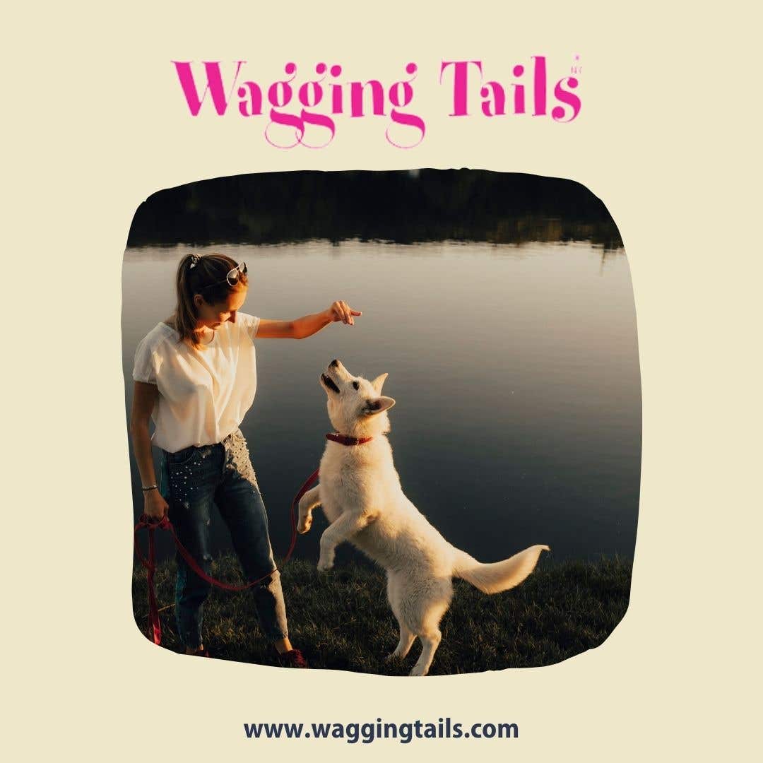 Wagging Tails