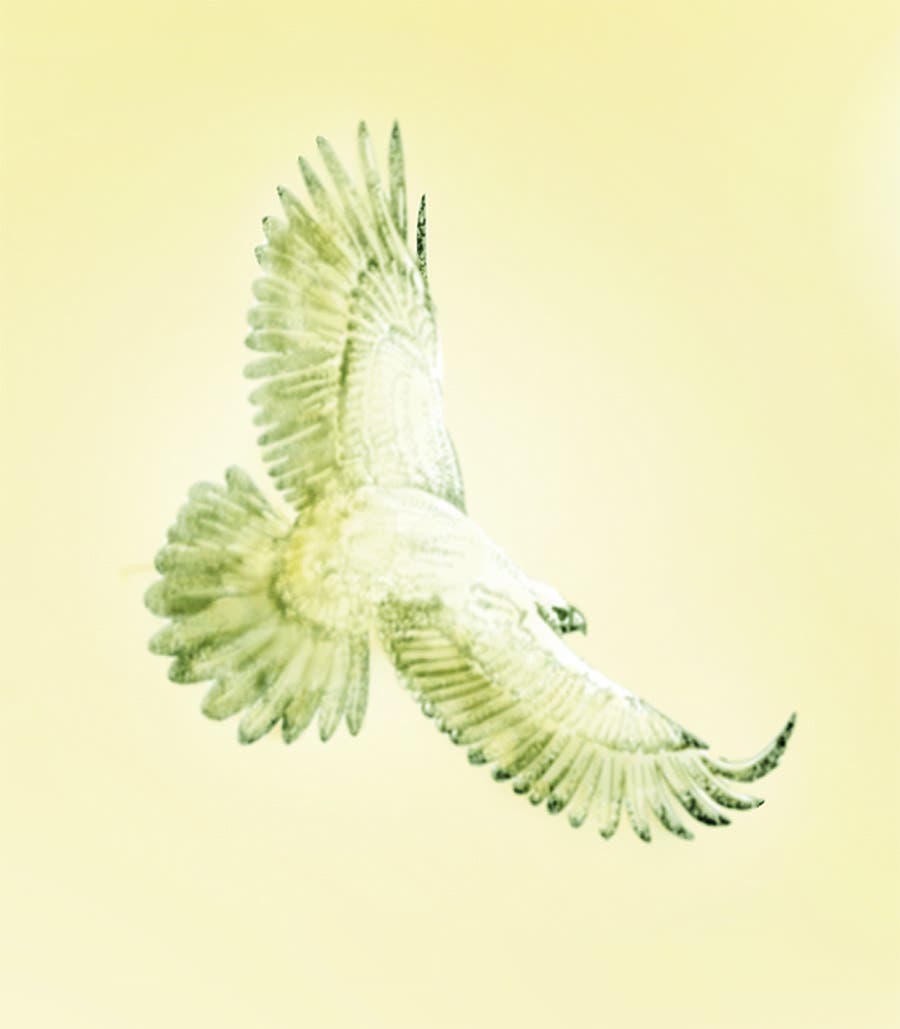 Divine Spirit Is Light and Sound—God’s Love in Action