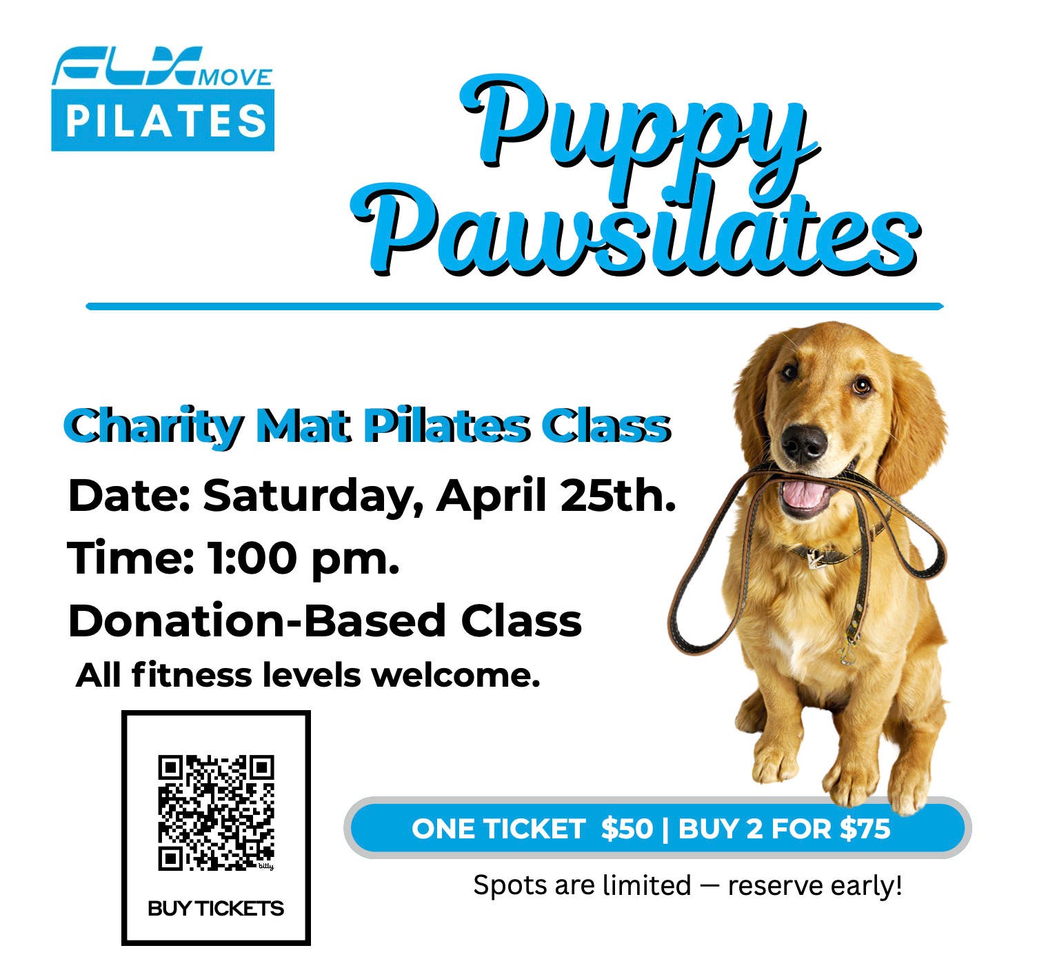 Puppy Pilates Benefiting Tails Border Pet Rescue in Glenview