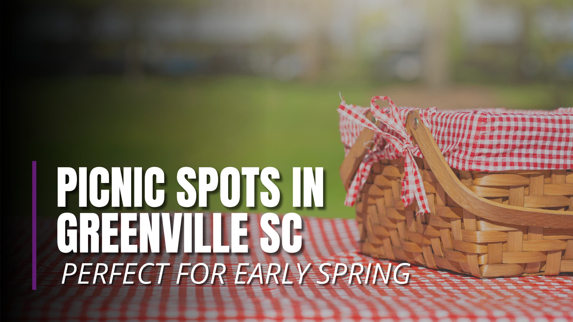 Picnic Spots in Greenville SC Perfect for Early Spring