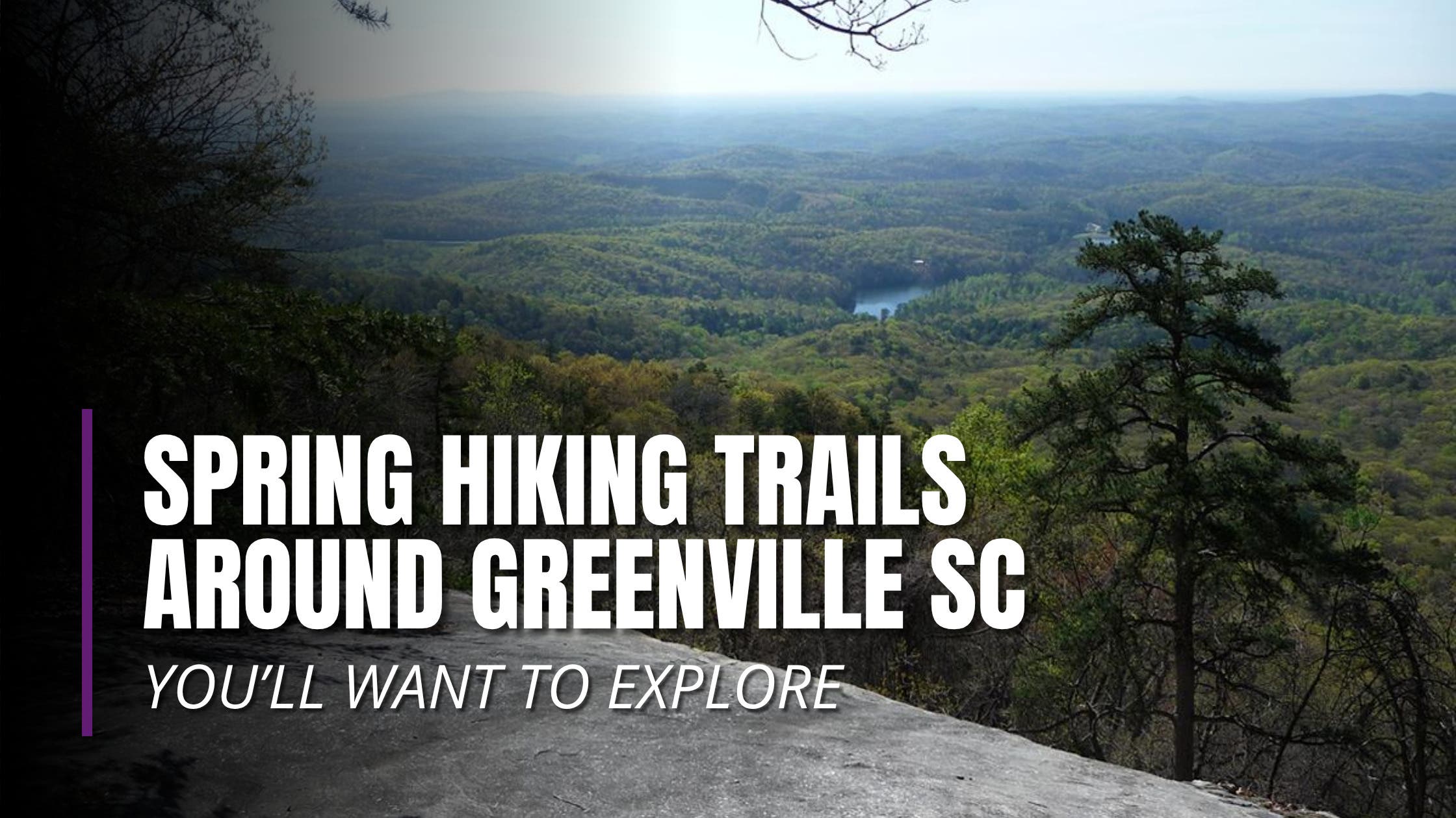 Spring Hiking Trails Around Greenville SC You’ll Want to Explore