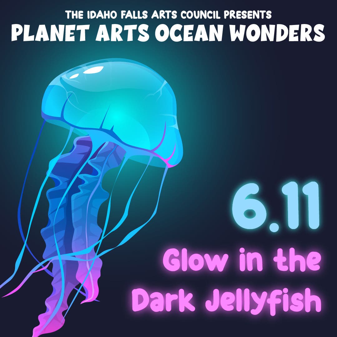Planet Arts Ocean Wonders: Glow in the Dark Jellyfish