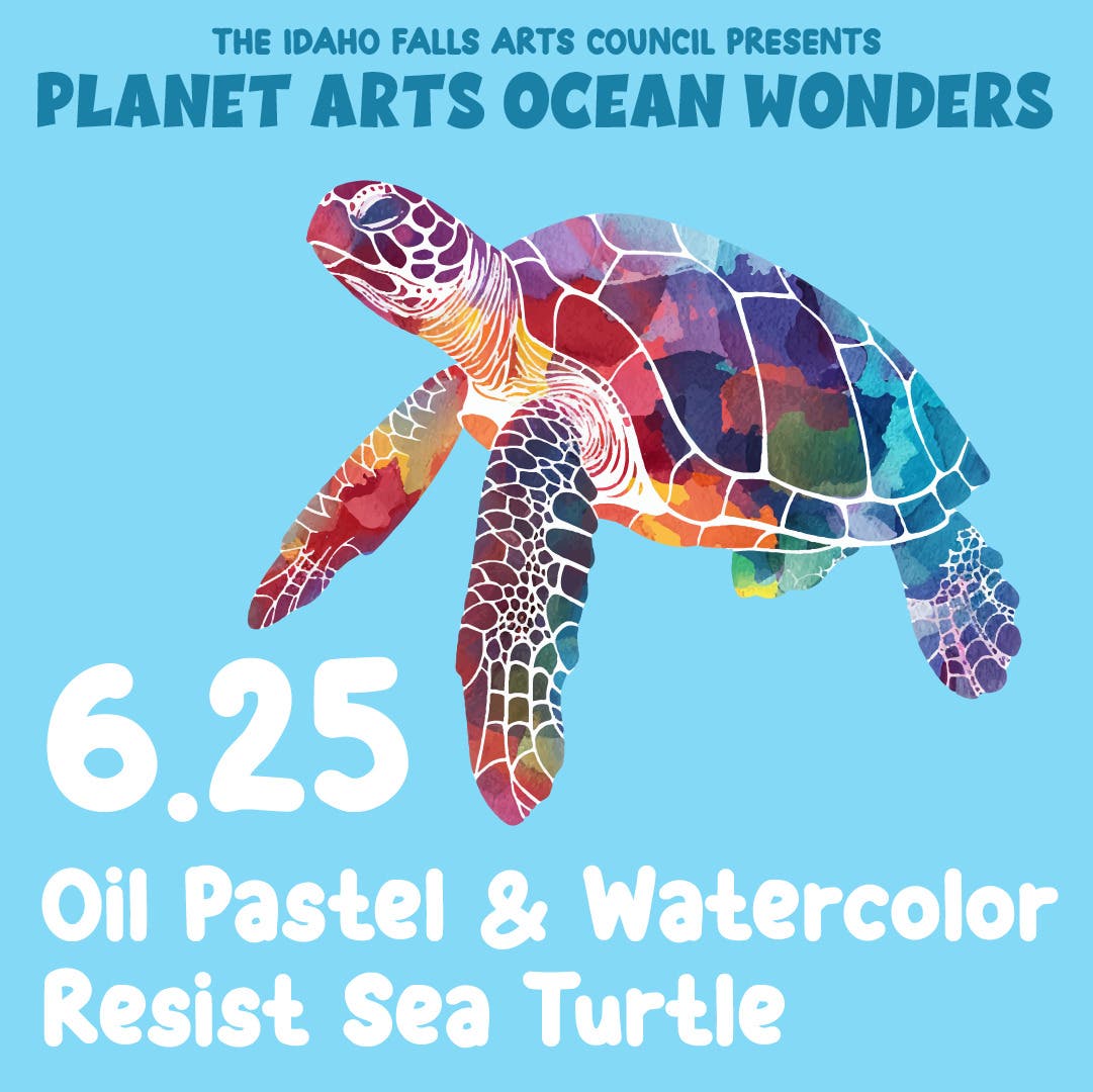 Planet Arts Ocean Wonders: Resist Paint Sea Turtle