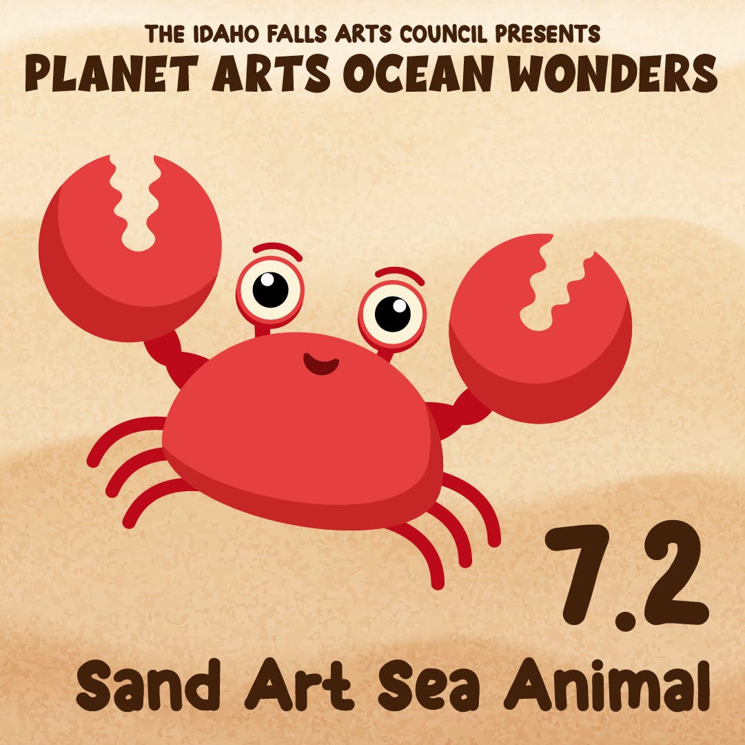 Planet Arts Ocean Wonders: Sand Art Sea Animals