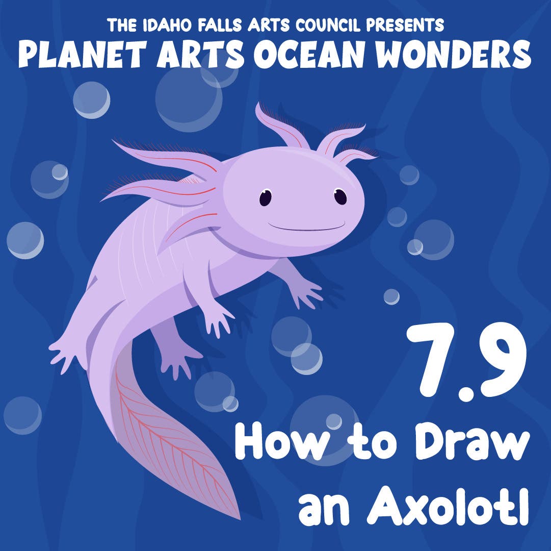 Planet Arts Ocean Wonders: How to Draw an Axolotl