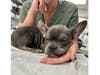 Diamond.
