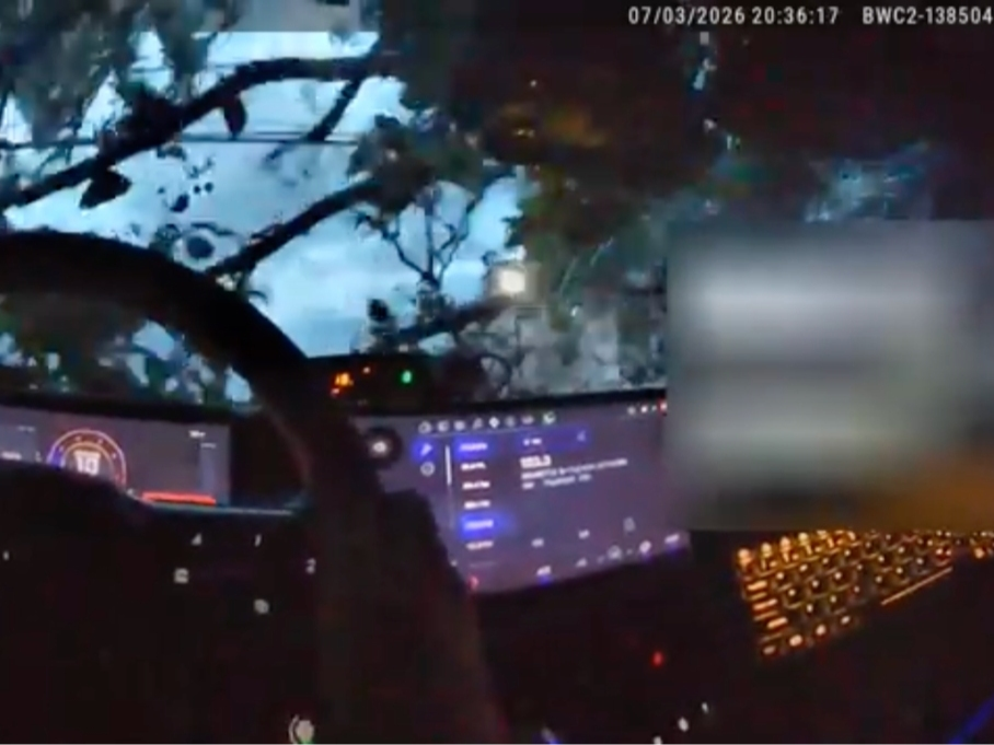 Footage from the moment a tree branch fell onto the police vehicle.