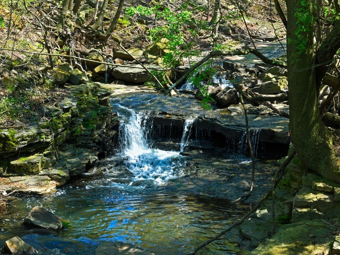 85-Year-Old Man Rescued After Fall In NJ Creek