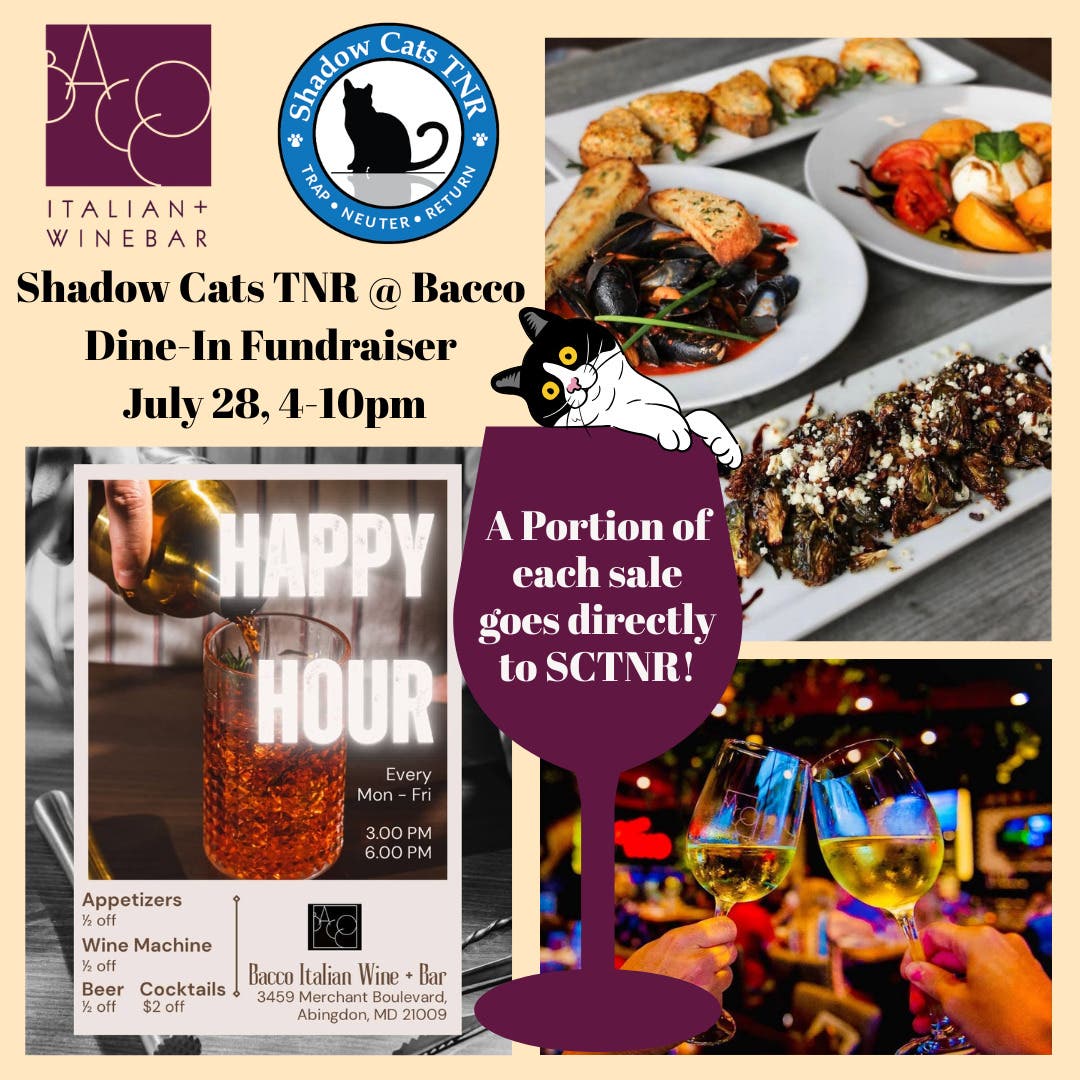 Shadow Cats TNR @ Bacco Dine-In Fundraiser