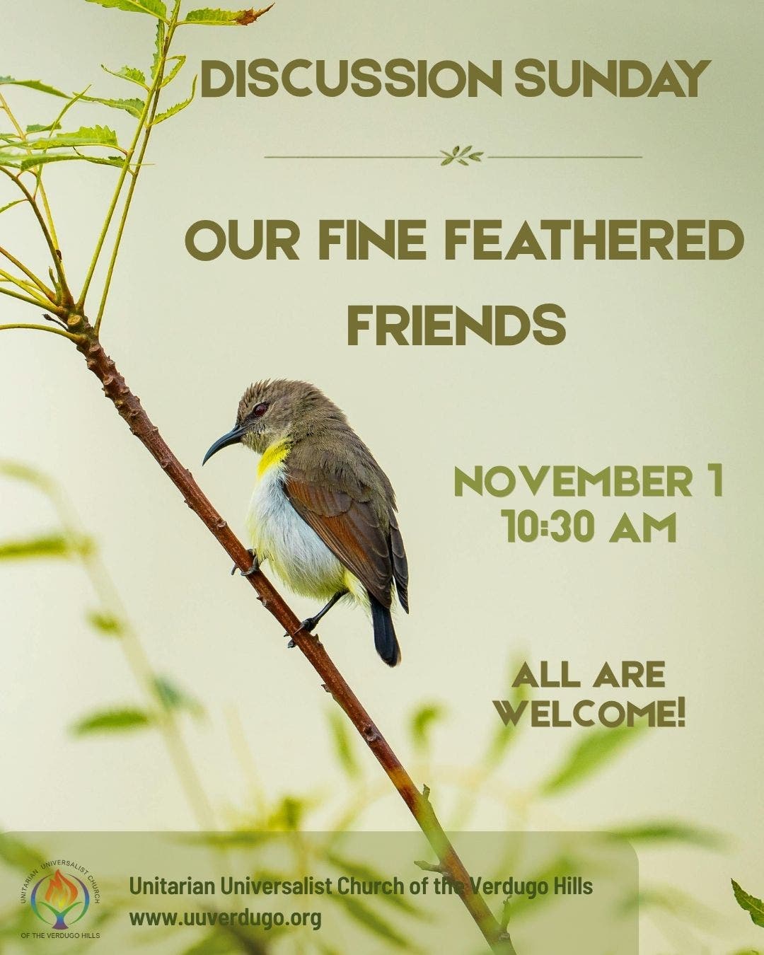 Sunday Service: Discussion Sunday - Our Fine Feathered Friends