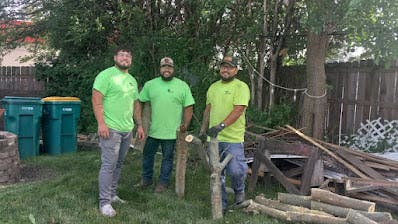 Why Merrillville Homeowners Rely on The Regions Tree Service for Safer, More Informed Tree Care
