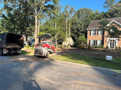 Why Mature Trees in Smyrna, GA Require More Attention Than New Plantings